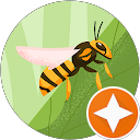 Feris S. profile picture