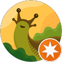 Wiz. profile picture